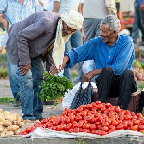 Tunisia Fruit Vendor